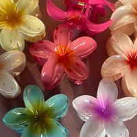 Add tropical, Hawaiian vibes to your accessory collection with this vibrant plumeria claw clip. Crafted from a sturdy plastic construction with a hibiscus flower motif design and long-tooth grip to hold hair in place. shop our fall flower hair claws, sister to these in some matte colours. all sold individually size: 8cm