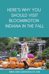 Indiana may not be known for its fall colors but we really enjoyed our fall trip to Bloomington. There were some fall colors along with fall activities and great weather. Here are all the fun things to do in Bloomington, Indiana during fall. | Camels & Chocolate