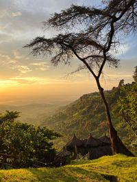 #travel #uganda #photography #sipifalls #elgon #goldenhour