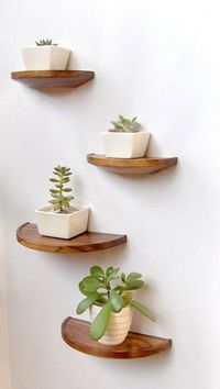 Ideas para decorar interiores con plantas