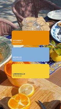 This trio brings together energy, creativity, and positivity, making it perfect for a fresh and engaging visual identity. Orange adds a touch of enthusiasm and warmth, blue offers a sense of trust and calm, while yellow brings a burst of happiness and optimism. Ideal for brands looking to make a bold and welcoming statement, this palette is sure to captivate and inspire.