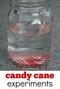 Dissolving Candy Cane Science Experiment for Kids!