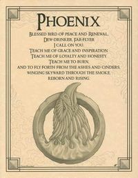 Embracing the legend of the fiery bird that rises again from the ashes of its own death, the Phoenix Poster seeks this spirit of rebirth and grace through poetic prayer and beautiful illustration. 8 1