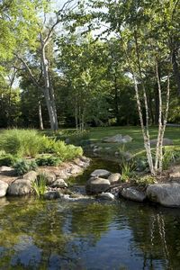 68+ Lovely Backyard Ponds and Water Garden Landscaping Ideas #backyardshed #backyardlandscaping #backyardplayhouse