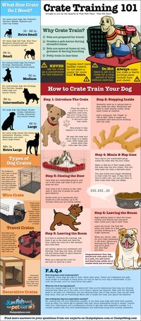 Crate trainings dos and dont's for dog owners #dogs #inforgraphic #pets