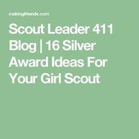 Scout Leader 411 Blog | 16 Silver Award Ideas For Your Girl Scout