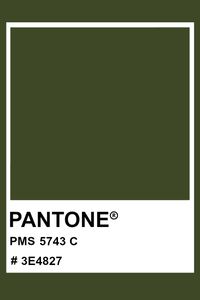 PANTONE 5743 C #pantone #color #PMS #hex