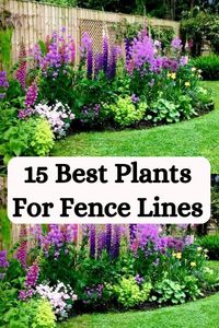 Enhance the appearance of your yard by planting colorful flowers, shrubs, or vines along the fence line. Discover the best plant options and tips for adding vibrant hues to your outdoor space.