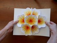 A quick and easy way to make a great pop-up card for someone special in your life. Materials Needed: Scissors, Red & Yellow Pen, White Paper, Pen, Glue Stick...