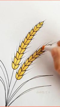 how to draw a wheat // how to draw wheat stalks // how to draw wheat easy // how to draw wheat plant // wheat how to draw // Wheat drawing simple // Wheat embroidery // Grains drawing // Wheat vector // Wheat illustration //