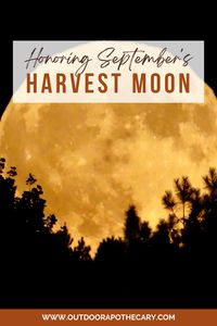 September's full moon, known as the Harvest Moon, holds profound spiritual meaning. Dive into its folklore and find ways to celebrate this celestial event. #Spirituality #MoonMagic #NatureConnection