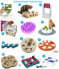 Puzzle Toys for Cats | Cat Games | Cat Interactive Toys