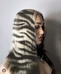 zebra print hair inspo