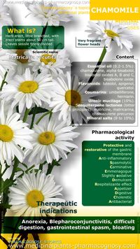 Chamomile benefits. Chamomile plant properties. Scientific name, Identification. Active ingredients and content of Chamomile. Summary of the general characteristics of the Chamomile plant. Medicinal properties, benefits and uses more common.  http://www.medicinalplants-pharmacognosy.com/herbs-medicinal-plants/chamomile/benefits-infographic/