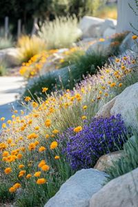 Create a beautiful and sustainable garden with native and drought-tolerant plants. 🌼🌿 Save water and attract local wildlife! 🐝🌞 #NativePlants #DroughtTolerant #EcoFriendly