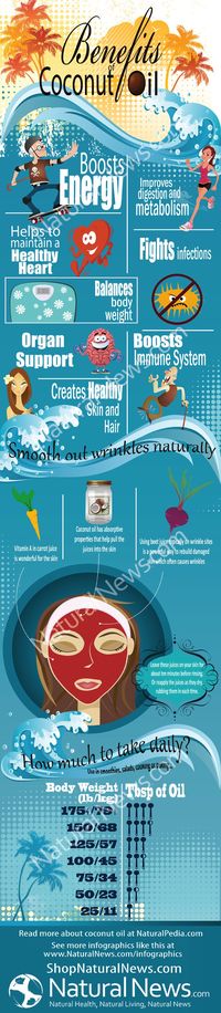 Benefits Of Coconut Oil (Infographic)