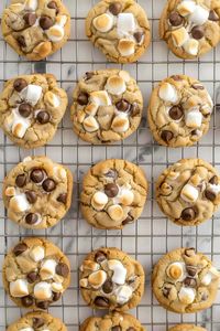 These marshmallow chocolate chip cookies are a fun twist on a childhood classic! Soft, chewy, studded with chocolate chips, and loaded with gooey marshmallows, they're just waiting for you to take a bite.