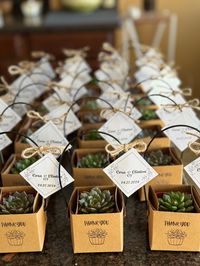 Celebrate your special day with unforgettable wedding favors from our Etsy shop! We will personalize your wedding favors to make your special day more special and memorable. Our unique and beautifully designed succulent favors will leave your guests impressed. Each plant size is 2" x 2" and it comes with personalized wedding tags. Make your wedding day even more memorable with our handcrafted favors. Shop now and create lasting memories for your loved ones! Each favor comes with beautifully desi