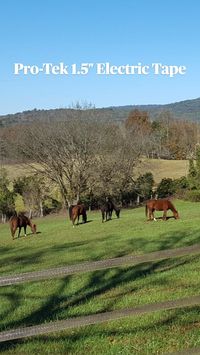  

Pro-Tek 1.5" electric tape horse fence is highly-visible and has 15 stainless steel wires woven with polyethylene fibers. They come in either 1320' or 660' roll lengths.

The stainless steel wires won’t oxidize, corrode, or turn green over time like copper. Conductivity is also stronger with stainless steel so this horse fence won’t lose its initial strength as time passes - keeping your horse(s) safe and your fence working properly long past the 20-year LTD warranty! 

https://www.rammfence.com/fence/electric-horse-fence/pro-tek/pro-tek-tape

