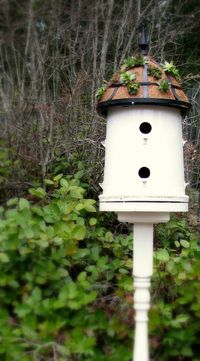 How to Make a Bucket into a Bird House — BLUE ROOF CABIN