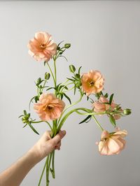 Peachy, apricot-hued butterfly ranunculus for spring. Soft, warm tones are one of my favorite palettes for spring and summer weddings!