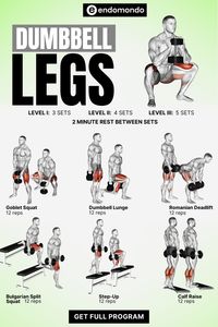 Build strong legs with this dumbbell leg workout! Improve muscle tone, stability, and power with exercises targeting quads, hamstrings, and glutes. Start your leg day with dumbbells!