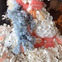 Coffee filters and paper cups transformed to become a coral reef at anthropologie.