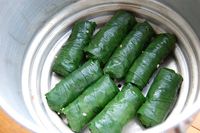 Wild garlic leaf summer rolls.   Alliem ursnium. Poisonous look-alike: Lily of the Valley