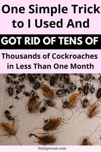 Tired of roaches around your home. Learn various DIY methods to trap and kill roaches in the house effectively without the use of toxic and expensive pesticides. With these homemade roach traps, you can expedite the process of eliminating roaches. Click to get rid of cockroaches fast.