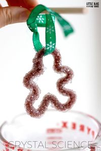 Christmas science with gingerbread man crystals ornament