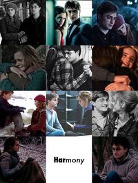 For everyone who says Harry and Hermione don't belong together..