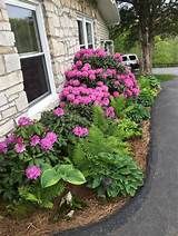 shade garden front yard - Yahoo Image Search Results