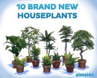 AWESOME! MORE HOUSE PLANTS for your LOVELY SIM HOME! Created By: simsi45 at MOD THE SIMS!