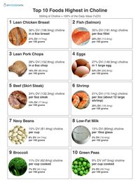 Printable list of high choline foods including lean chicken, fish, lean pork, eggs, beef, shrimp, beans, low-fat milk, broccoli, and green peas.