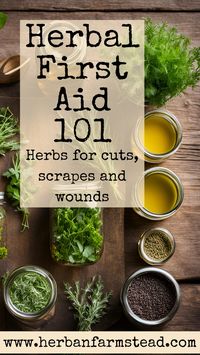 Ready to take your herbal first aid kit to the next level? Learn which herbs are best for healing cuts, scrapes, and wounds naturally! From plantain and calendula to yarrow and comfrey, discover the top herbs with powerful healing properties. ��🌱 Get step-by-step instructions on how to use these herbs for faster recovery and better skin health. Perfect for homesteaders, herbalists, and anyone looking for natural remedies! 🌼 #HerbalFirstAid #NaturalRemedies #Herbalism #Homesteading #WoundCare