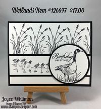 Masculine Birthday card using the Wetlands stamp set from Stampin' Up!