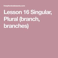 Lesson 16 Singular, Plural (branch, branches)