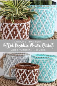 Potted Paradise Mosaic Basket - Crochet Pattern - MJ's off the Hook Designs