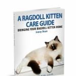 FREE eBook Copy of A Ragdoll Kitten Care Guide! http://www.floppycats.com/free-ebook-copy-of-a-ragdoll-kitten-care-guide.html  We’re offering the eBook version of A Ragdoll Kitten Care Guide: Bringing Your Ragdoll Kitten Home again for FREE! Grab your FREE copy here: it’s free through March 9, 2014.  ‪#‎cat‬ ‪#‎Ragdoll‬ ‪#‎book‬ ‪#‎ebook‬ ‪#‎kindlebook‬