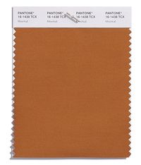 PANTONE 16-1438 Meerkat A highly adaptable toasty burnished brown.