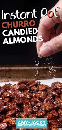 Instant Pot Churro Candied Almonds (Madly Addictive!) | Tested by Amy Jacky