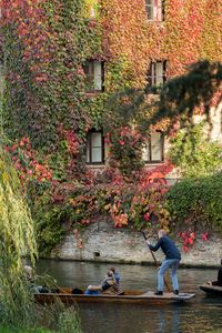 https://flic.kr/p/zDfySw | IMG_3271 | Cambridge, Autumn 2015