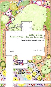 Denver/Front Range - Native Garden Designs