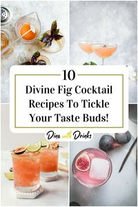 🍹🍇🍸 Looking for a refreshing cocktail with a twist? Check out these 10 divine fig cocktail recipes that will surely tickle your taste buds! 🤤🌿 #FigCocktails #CocktailRecipes #HappyHour #DrinkUp #ThirstyThursday