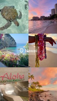 hawaii😍☀️🏖️