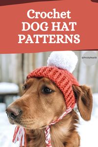 Explore adorable crochet dog hat patterns. Create stylish accessories for your furry friend with step-by-step instructions. Choose from various designs, including ear flaps or pom-poms. Customize sizes to fit different breeds. Elevate your pet's style with these charming and functional crochet patterns.