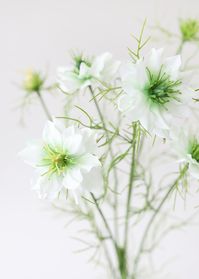 Find high-quality fake wildflowers, like this adorable white nigella spray with soft green highlights. The artificial love in a mist flowers give your floral arrangements that organic, fresh-cut look that lasts. 26" Tall4 Blooms, 2.25-2.75" WideSilk and Plastic View All Artificial Wildflowers & Berries