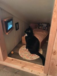 Guy Transforms Empty Space Behind Wall Into Tiny Bedroom For His Cat, Makes Other Cat Parents Feel Bad About Themselves