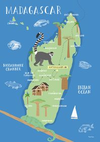 An illustrated Map of Madagascar, place of lemurs, baobabs, chamaleons and…