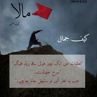 Maala by Nimrah Ahmed #novels #urduwrites #nimrahahmed #maala